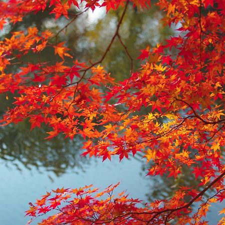 Stay Sakura Kyoto Nijo Castle West I Zewnętrze zdjęcie