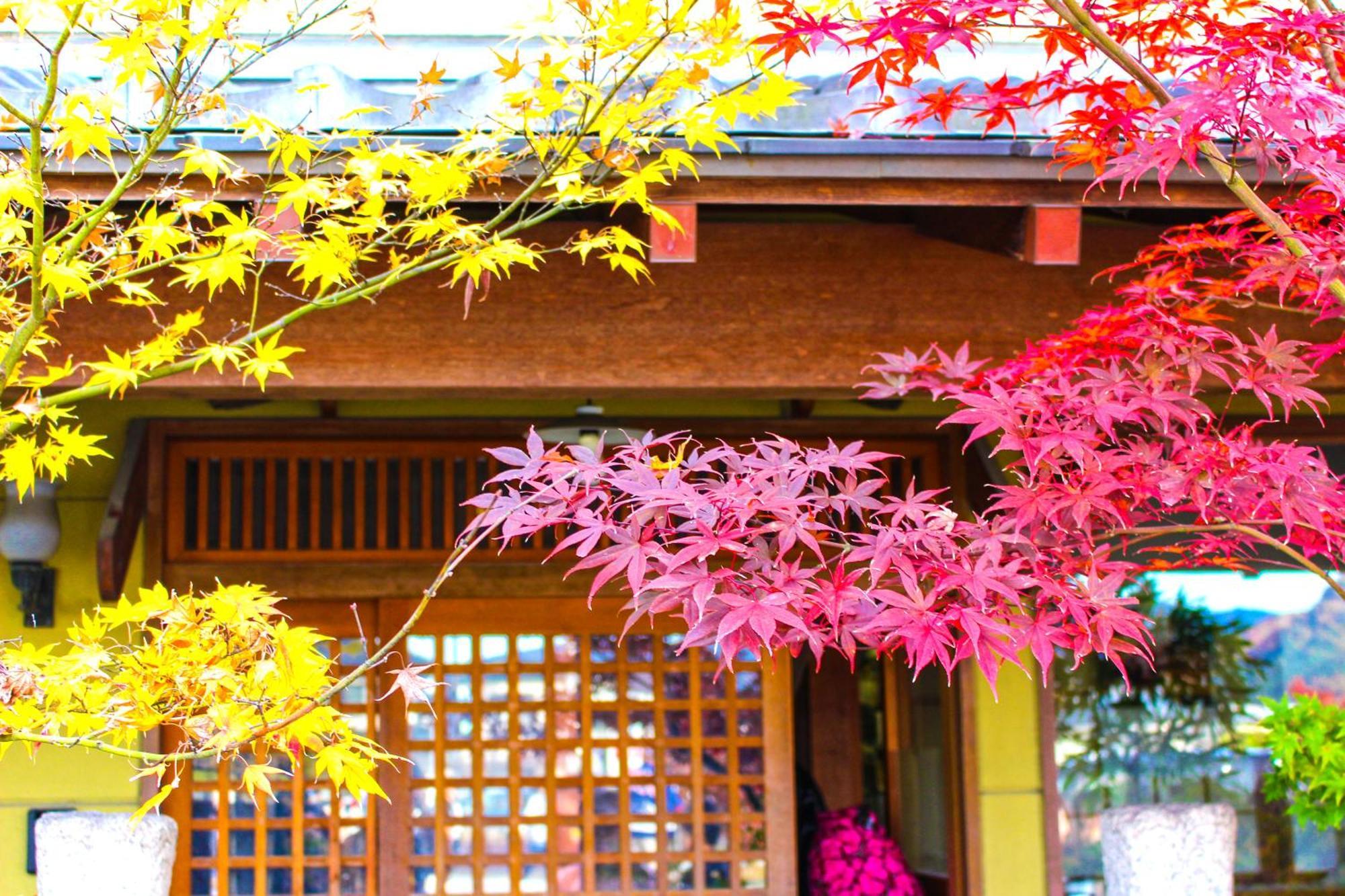 Stay Sakura Kyoto Nijo Castle West I Zewnętrze zdjęcie